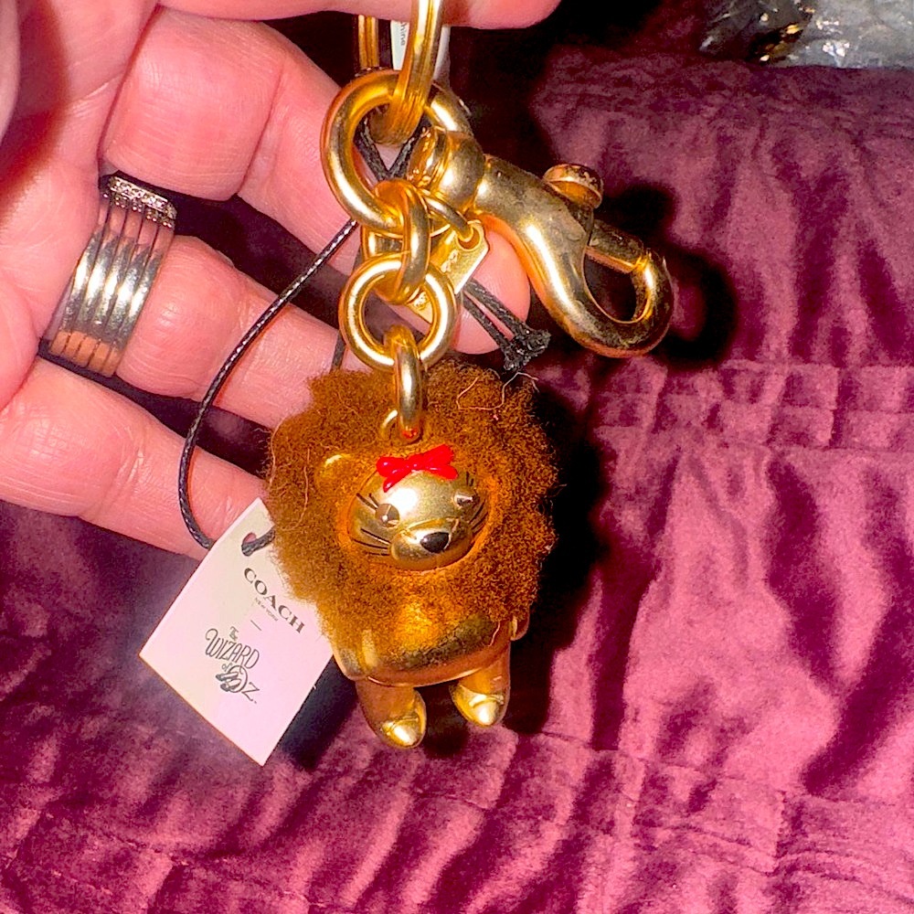 Coach Nwt 2018 Retired Coach Wizard of Oz Bear Keychain Charm the cowardly lion. - Picture 6 of 13